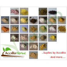 Bestseller Hohe Putiry L-Arginin HCL